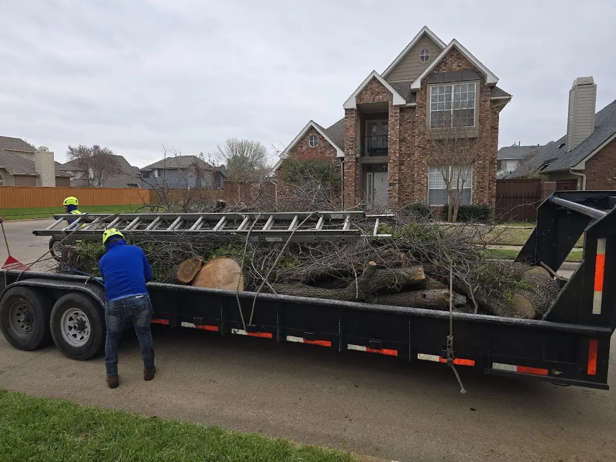 Expert Tree Removal with proper safety equipment in Barboursville